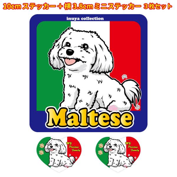 XebJ[ i ILOVE Zbg 12 j}`[Y V[  ^  ʂ