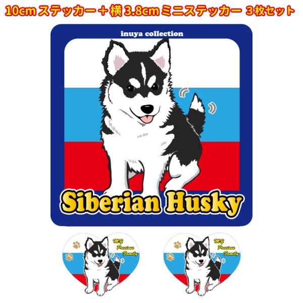 XebJ[ i ILOVE Zbg 12 jVxAnXL[ iqj V[  ^  ʂ