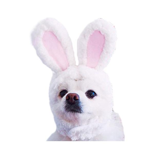 うさぎ コスプレ 犬用ペット服の人気商品 通販 価格比較 価格 Com