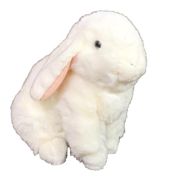   z[hbv (  ) bvC[ rbg ʂ nCNIeB[  bsO G ObY a Mtg v[g x B