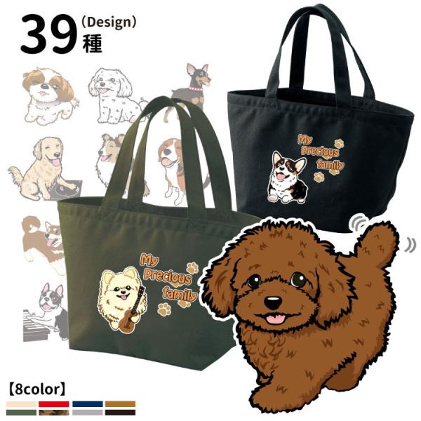 i vVXfUC g[gobO  STCY  CAB1543 j e LoX UobO  a Mtg v[g   v[h R[M[ `