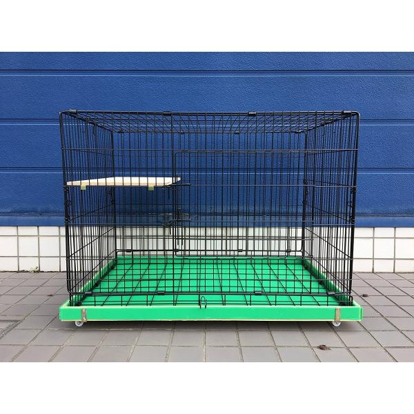 yYł̉iIzy䐔I OIv[gz͕֗I ܂肽ݎ ˂pP[W vChST 1i^Cv