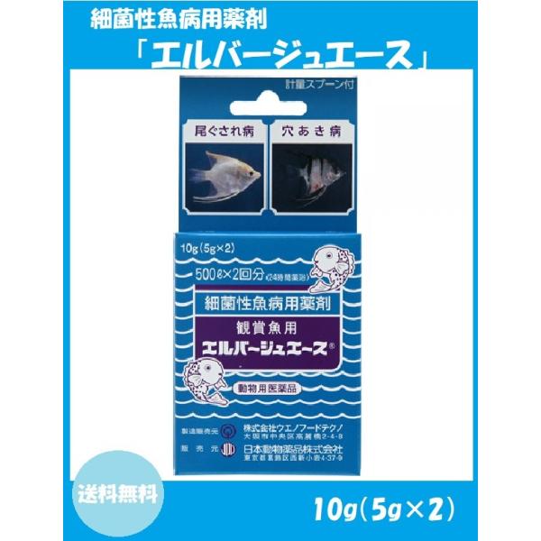 2980円以上で注文可能  エルバージュエース 5g (×2包入) (1個)