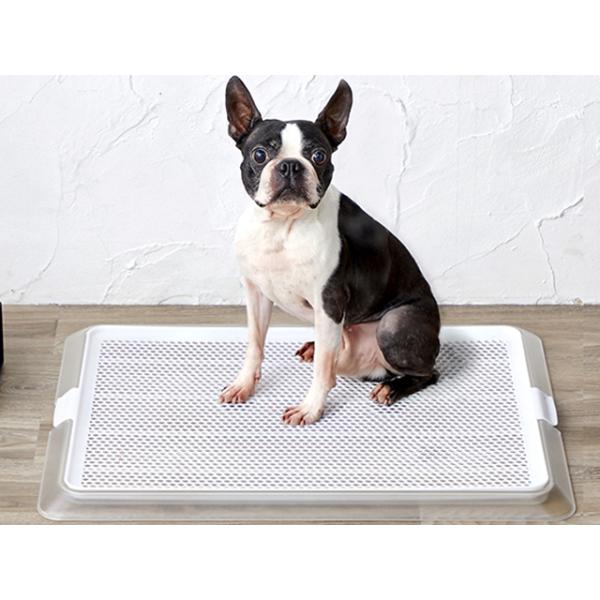 {rARyI΂ȂIVȃCeAgCzybg[ NAbV MTCY