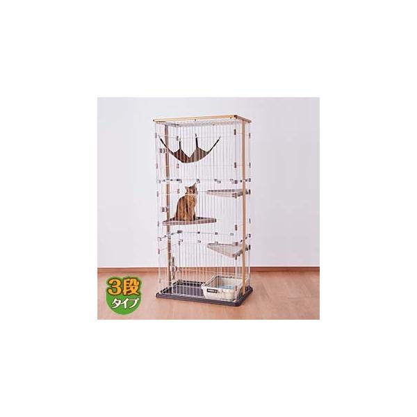 yi`Ȗ؂̂ʂzEbhT[N CAT (Lbg) ChhA@Ri^Cv