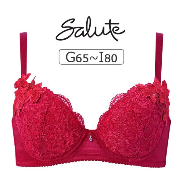 ワコール サルート 27グループ 27G ブラジャー単品 女優Bra GHIカップ アンダー 65/70/75/80/85cm BTJ727