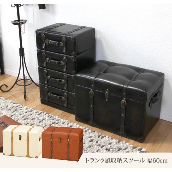 gN[Xc[ 60cm 46 gN [{bNX [P[X  re[W _ AeB[N  Xc[