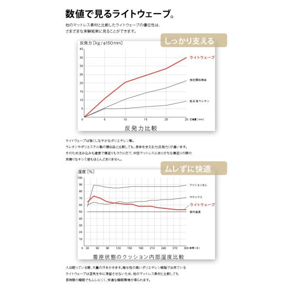 リテリー エクストラクリーン マットレス 60 マットレス Sd セミダブル マットレス アレルバスター 敷き布団 セミダブル 家具のインテリアオフィスワン