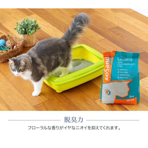 Oft セリーム バイオサンド グリーン 8袋セット 猫砂 ネコ砂 ねこずな 鉱物系 自動猫トイレ 固まる 高品質 脱臭 猫トイレ ネコトイレ おすすめ Buyee Buyee Japanese Proxy Service Buy From Japan Bot Online