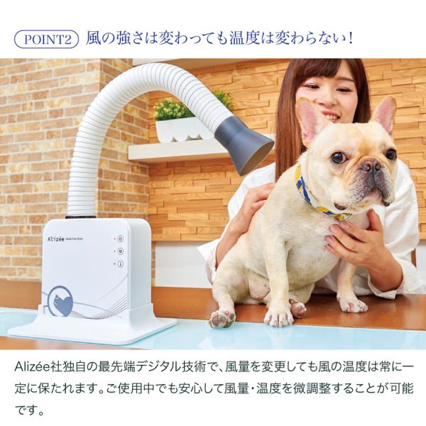 OFT) Alizee ハンズフリードライヤー (スタンド オススメ おしゃれ 