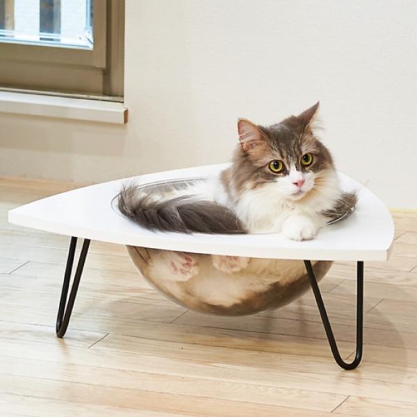 Oft キャットクリアカプセル テーブル ベッド 猫 ネコ ねこ カプセル かわいい おしゃれ 肉球 据え置き Oft Store Yahoo 店 通販 Yahoo ショッピング