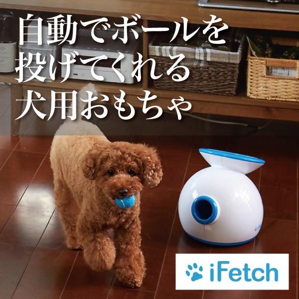 ソケット 気づかない マサッチョ 犬 おもちゃ ボール 自動 Assist Life Jp