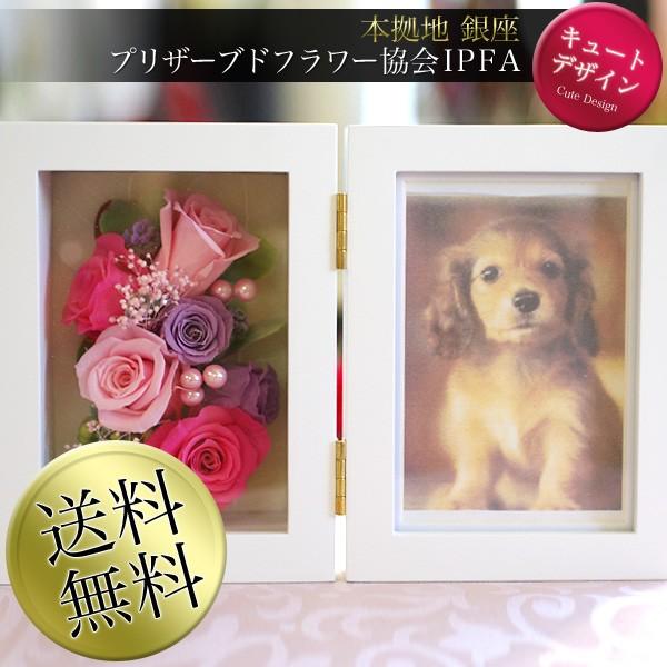 プリザーブドフラワー ギフト フレンド 写真立て フォトフレーム 写真 フォト プリザーブド フラワー ブリザーブド ブリザード Friend プリザーブドフラワー Ipfa 通販 Yahoo ショッピング