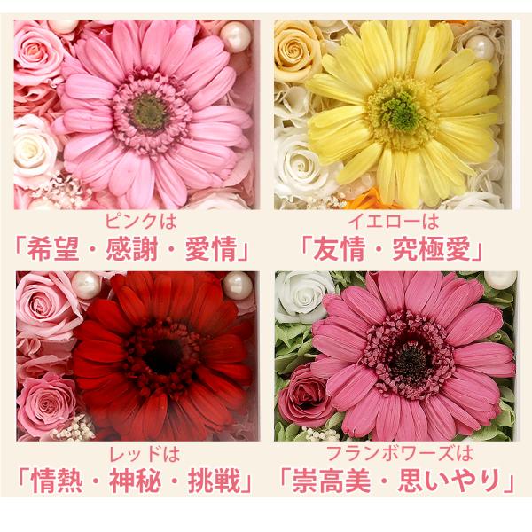 �v���U�[�u�h�t�����[ ���v �ސE�j�� �a���� �����j�� ���j�� �u�����v �v���U�[�u�h �t�����[ �M�t�g �v���[���g �d�� �җ�j�� �j�� ���� �K�[�x�� �� ���i�摜3