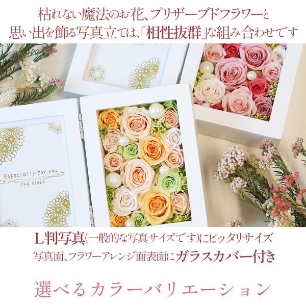 �v���U�[�u�h�t�����[ �ʐ^���� �����j�� �ސE�j�� �a���� ���j�� �����L�O�� �t�H�g�t���[�� �v���[���g �M�t�g �� ���� �j�� ��N�ސE �ʐ^ ������� �� ���i�摜2