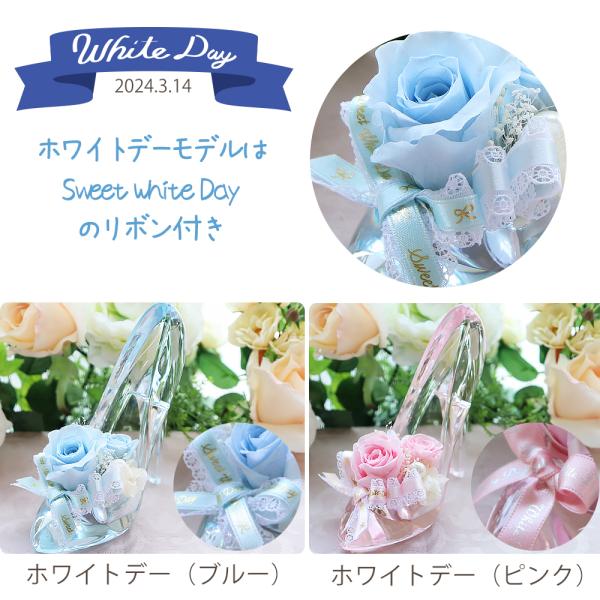 �v���U�[�u�h�t�����[ �v���[���g �a���� �ސE�j�� �����j�� �����L�O�� �M�t�g �K���X�̌C ���j�� �v���|�[�Y �V���f���� ���� �l�C ���Ԃ� ���~ �� ���i�摜3