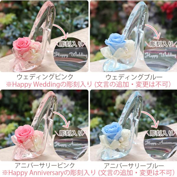 �v���U�[�u�h�t�����[ �v���[���g �a���� �ސE�j�� �����j�� �����L�O�� �M�t�g �K���X�̌C ���j�� �v���|�[�Y �V���f���� ���� �l�C ���Ԃ� ���~ �� ���i�摜5