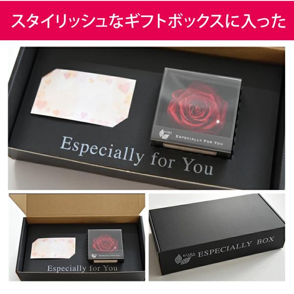 �v���U�[�u�h�t�����[ �v���[���g �� �o�� ���[�Y �a���� �ސE�j�� �����j�� �����L�O�� �M�t�g ������ ���蕨 ���j�� �l�C ���Ԃ� �l�C ���~ �� ���i�摜2