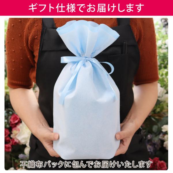 �v���U�[�u�h�t�����[ �K���X�h�[�� �G���W�F�� ������ ���f�� ���� ���� ���ފ� ������ �y�b�g ������ �� ��� �����R ���i�摜3