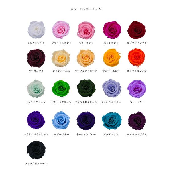 プリザーブドフラワー Kiara ローズ S 12輪入り プリザーブドフラワー キアラ 花材 資材 材料 花 バラ ローズ 薔薇 格安 お得 高品質 エクアドル産 Buyee Buyee 日本の通販商品 オークションの代理入札 代理購入