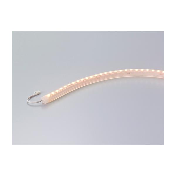 DNライティング 【受注品】DNライティング FXS2-LED4820L24 LED