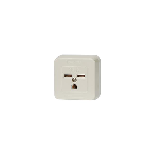 神保電器 JE-2E302 露出接地コンセント 2極接地極付 30A 250V