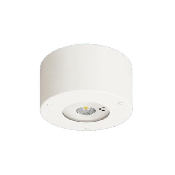 Panasonic（パナソニック） NNFB93106C 天井直付型 LED（昼白色） 非常