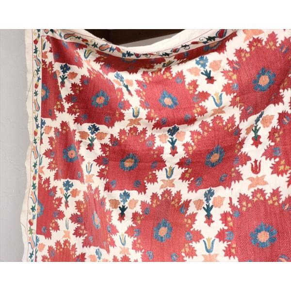 スザンニイメージ