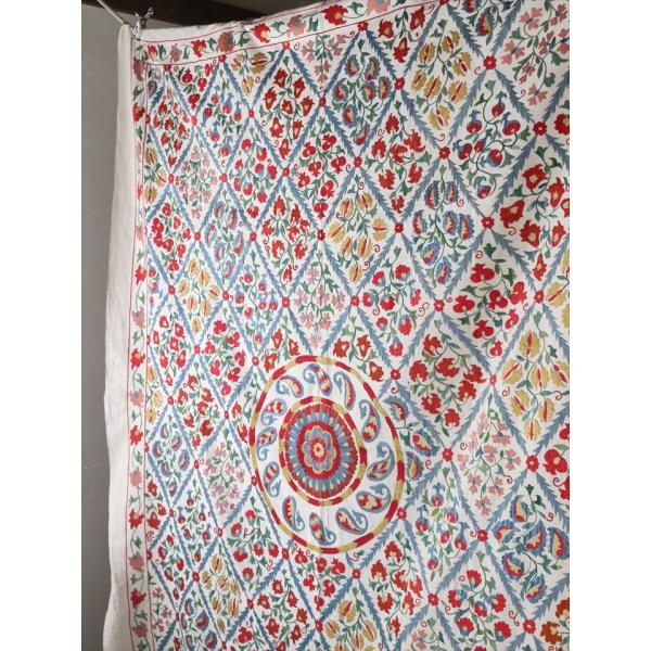 スザンニイメージ