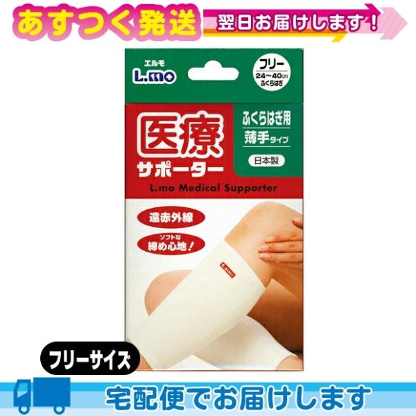 T|[^[ iÊ G ÃT|[^[  ӂ͂p t[TCY