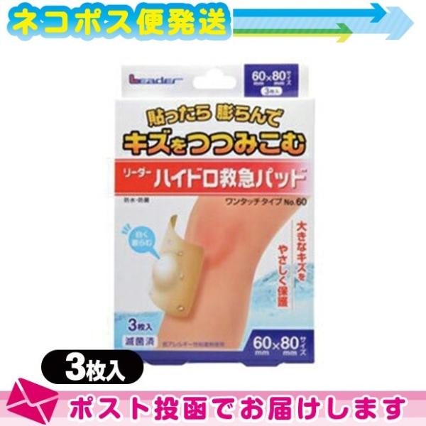 nChRChfJnp [_[nCh~}pbh(3) ^b`^Cv No.60(60x80mm) FlR|X