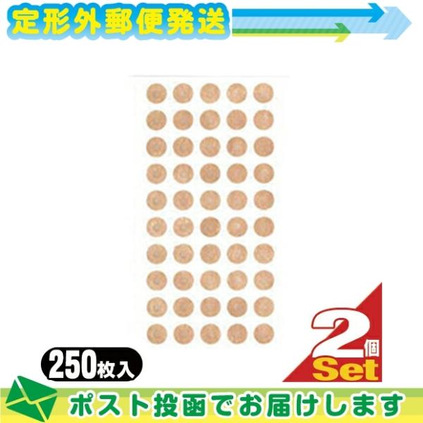 ~I/~j(҂) OcLgX ~IpJnp(250)x2Zbg :[֓{X֑