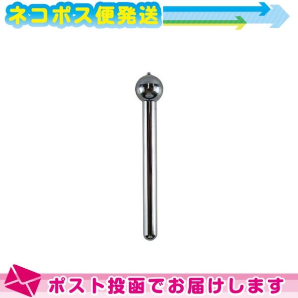 ippo0709_10048164-03-01