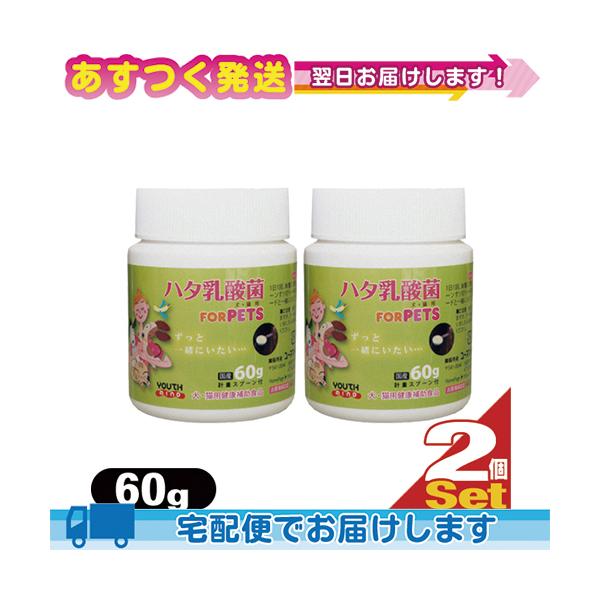 生菌数1.5倍UP※ ペット用食品 LCH ハタ乳酸菌 for PET 60g x 2個セット