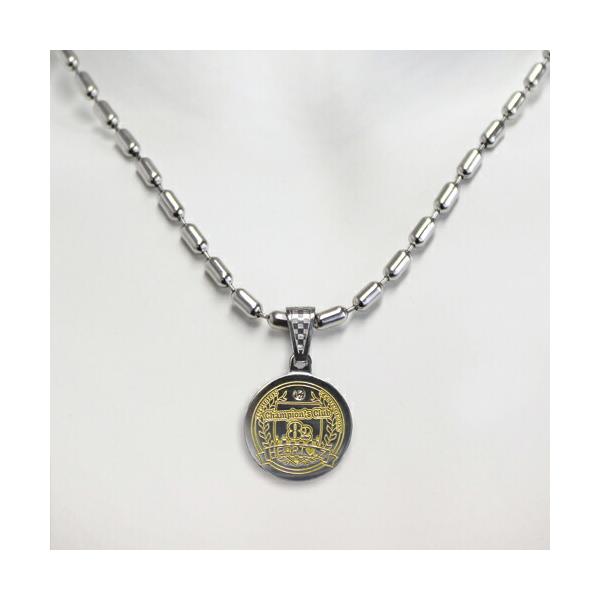 メタリックネックレスIV(フォー) ippo0709_10077600