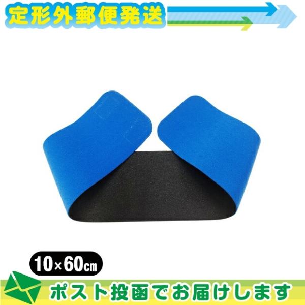 K㗝X AVXg(ASSIST) ЍL}WbNxg u[ 10x60cm (100x600mm) F[֓{X֑ o(yj)