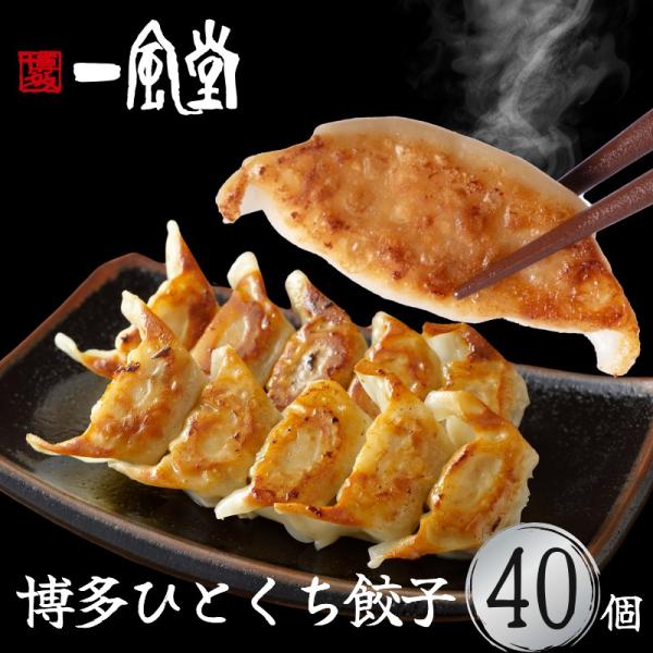 たいちょうさま専用 鉄扇 無地