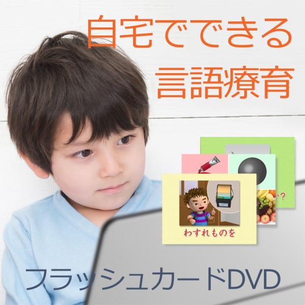 発達障害 自閉症 絵カード フラッシュカードdvd教材 言葉の遅れや会話が苦手な子供がコミュニケーションスキルを 見て学べる 言語訓練 St 全28巻 Kisumupoly Ac Ke