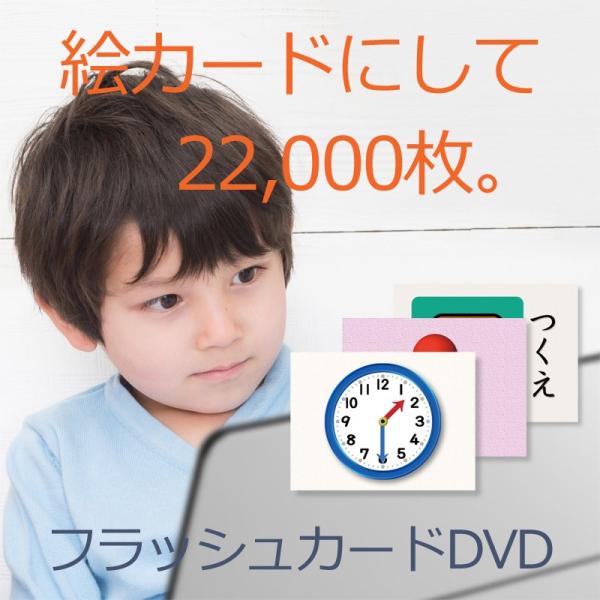 発達障害 絵カード フラッシュカードdvd教材 言葉が出にくい子が 見て学べる 視覚学習36巻 Buyee 日本代购平台 产品购物网站大全 Buyee一站式代购 Bot Online