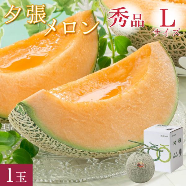 お中元 メロン 北海道 夕張メロン 秀品 L(約1.3kg) 1玉 共撰 夕張農協 合格品 お取り寄せ ギフト プレゼント 1個 御中元 送料無料 爆買