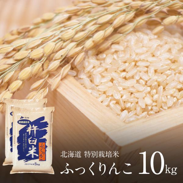 新米予約 特別栽培米 ふっくりんこ 玄米 10kg 5kg×2 新米 令和8年産 北海道産 お米 農家直送