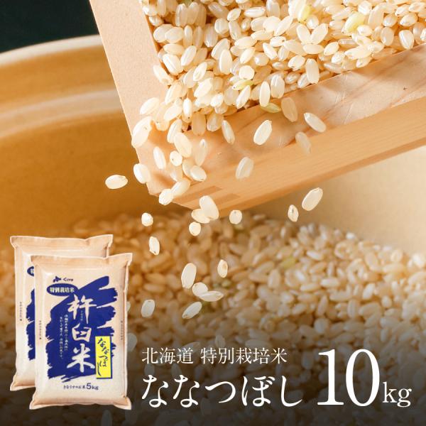 ななつぼし 玄米 10kg 5kg×2袋 特別栽培米 新米 令和7年産 2025 北海道