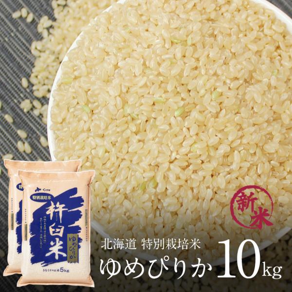 yama-chan様 農薬不使用 玄米 10kg 別途送料込