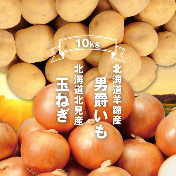 北海道 男爵いも 玉ねぎ2種10kg 羊蹄産 男爵イモ (5kg)  北見産  たまねぎ (5kg) 秋野菜セット じゃがいも  送料無料 爆買