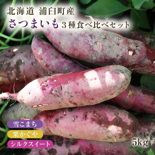 北海道 浦臼産 さつまいも ゆきこまち 栗かぐや シルクスイート 合計 5kg 約15〜25本程度 お取り寄せ 北海道 さつま芋 サツマイモ 薩摩芋 秋 野菜 爆買