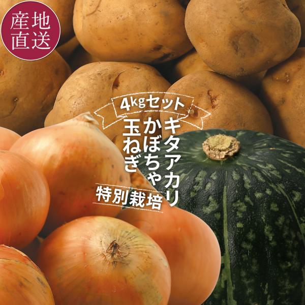 北海道 余湖農園 秋の収穫セット 3種4kg 農家直送 特別栽培 北海道産 合計4kg キタアカリ 玉ねぎ かぼちゃ 秋野菜 低農薬 爆買