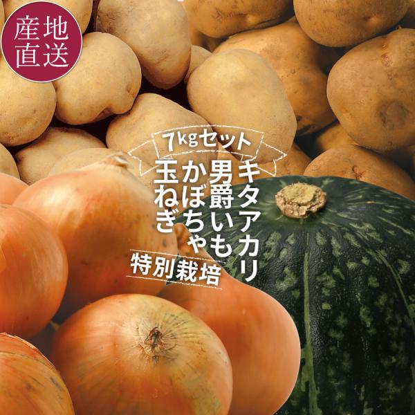 北海道 余湖農園 秋の収穫セット 4種7kg 農家直送 特別栽培 北海道産 合計7kg 秋野菜 男爵いも キタアカリ 玉ねぎ かぼちゃ 特別栽培 低農薬 減農薬 爆買
