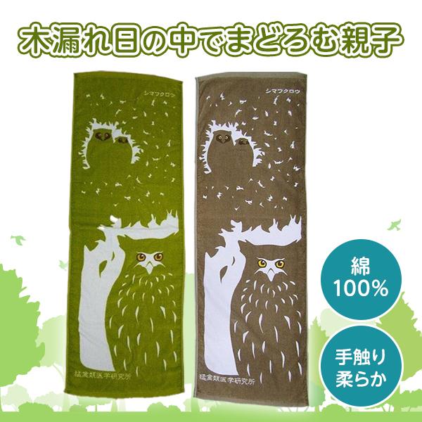 シマフクロウ スポーツタオル 大判 日本製 綿 猛禽類 動物 鳥 野鳥