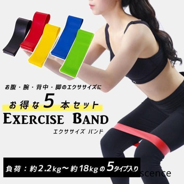 トレーニング チューブ リング ショート 60cm【負荷別 5本セット