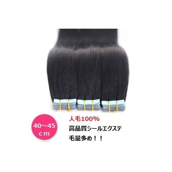 シールエクステ 部分ウィッグ 枚セット 人毛100 再使用可能 Irisgarden 高品質 染め パーマok 人毛 エクステ 40 45cm Rd 1618 Buyee Buyee Japanischer Proxy Service Kaufen Sie Aus Japan